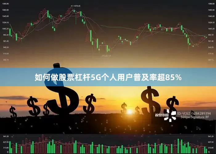 如何做股票杠杆5G个人用户普及率超85%