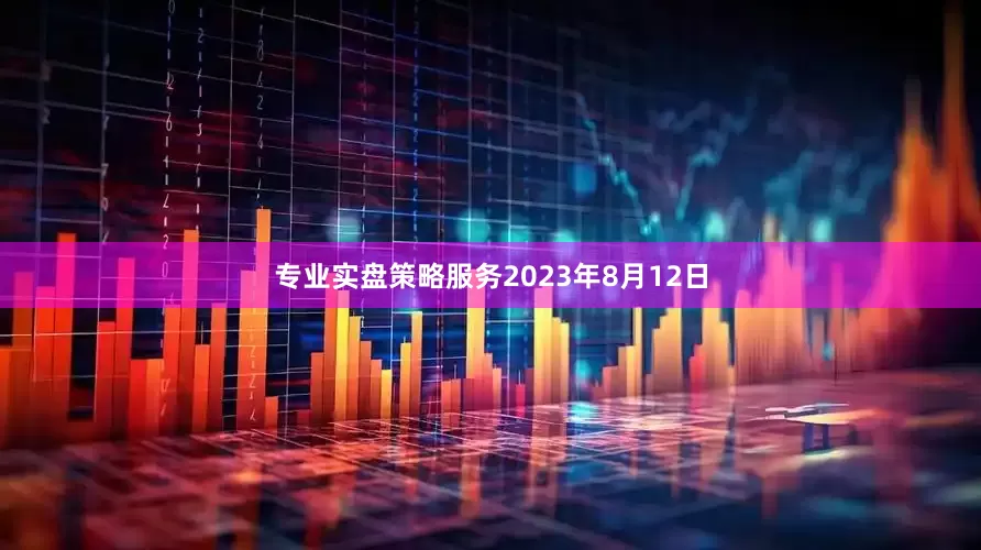 专业实盘策略服务2023年8月12日