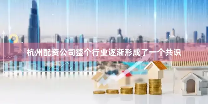 杭州配资公司整个行业逐渐形成了一个共识